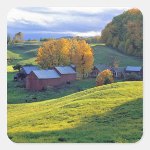 USA, Vermont, Jenne Farm. Rollende grüne Hügel Quadratischer Aufkleber
