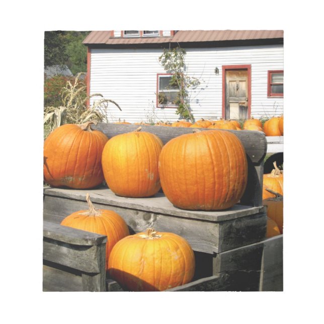 USA, Vermont. Kürbis Notizblock (Vorderseite)