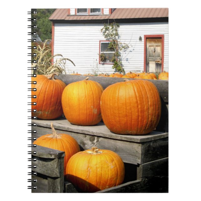 USA, Vermont.Kürbis Notizblock (Vorderseite)