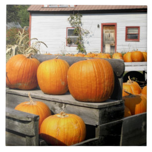 USA, Vermont. Kürbisse Fliese