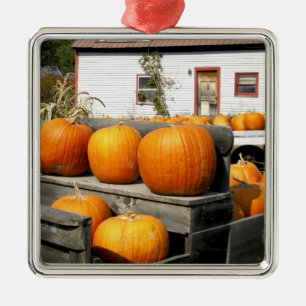 USA, Vermont. Kürbisse Silbernes Ornament