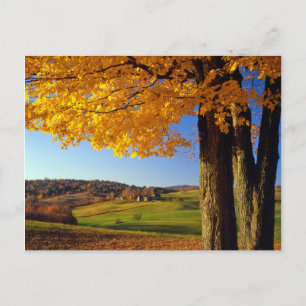 USA, Vermont. Landschafliche Farm in der Nähe von  Postkarte