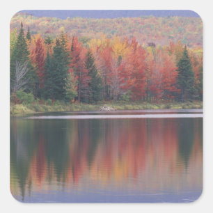 USA, Vermont, McAllister Lake, in der Nähe von Haz Quadratischer Aufkleber