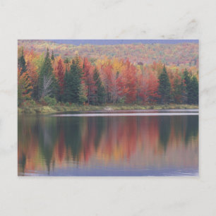 USA, Vermont, McAllister Lake, nahe Hazens Notch Postkarte