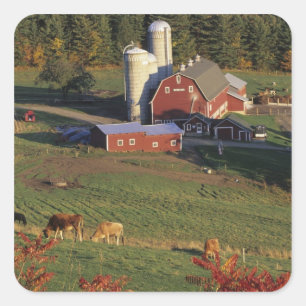 USA, Vermont, Pomfret. Rote Scheune und Herbst Quadratischer Aufkleber