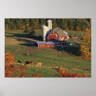 USA, Vermont, Pomfret. Rotes Scheune und Herbst Poster