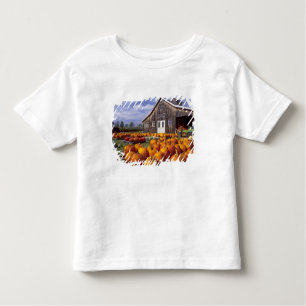 USA, Vermont, Shelbourne, Kürbise Kleinkind T-shirt