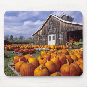 USA, Vermont, Shelbourne, Kürbisse Mousepad