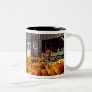 USA, Vermont, Shelbourne, Kürbisse Zweifarbige Tasse