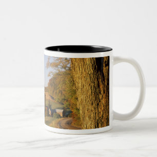 USA, Vermont, südlich von Woodstock, Jenne Farm be Zweifarbige Tasse
