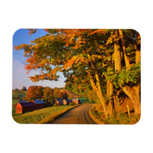 USA, Vermont, Südwaldstock Magnet