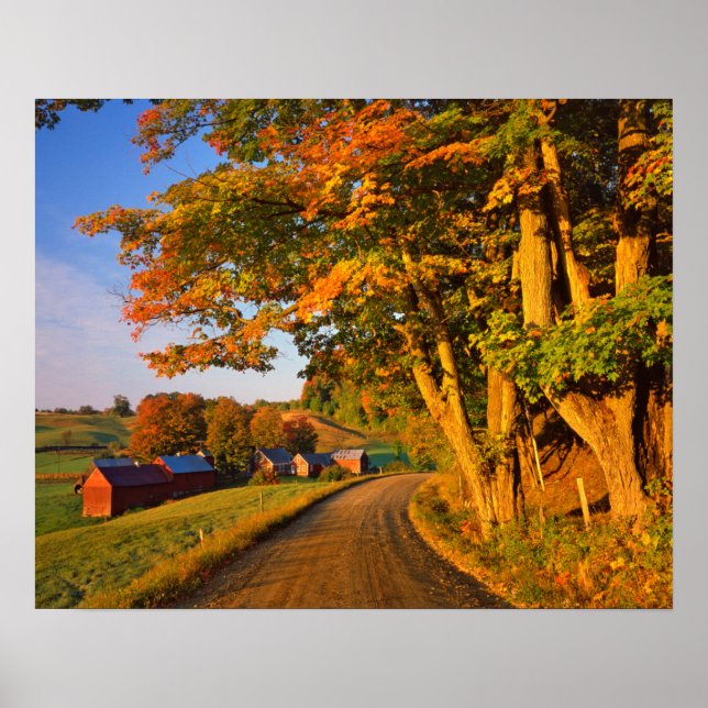 USA, Vermont, Südwaldstock Poster (Vorne)