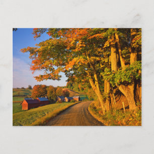 USA, Vermont, Südwaldstock Postkarte