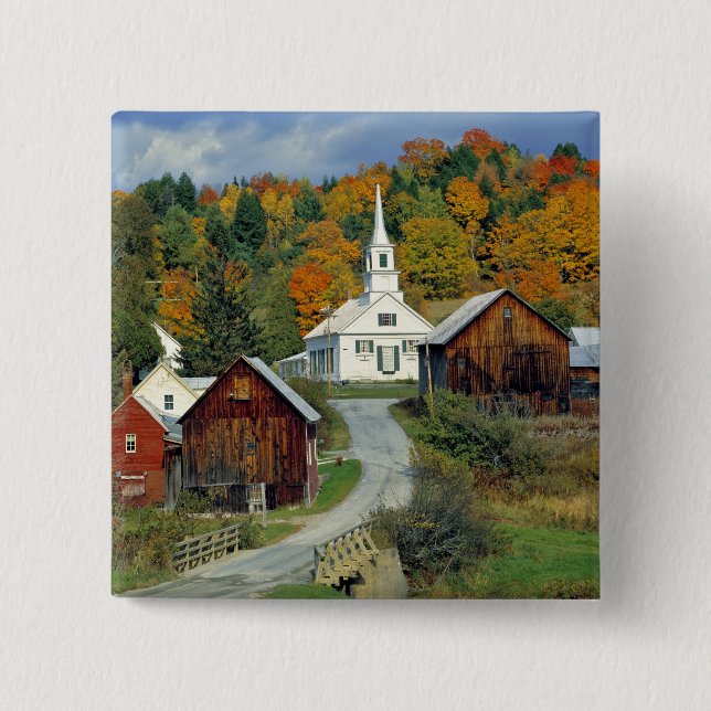 USA, Vermont, Waits River. Blattwerk Button (Vorderseite)
