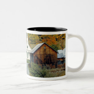 USA, Vermont, Waits River. Blattwerk Zweifarbige Tasse