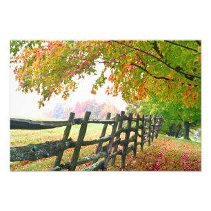 USA, Vermont. Zaun unter Herbstlaub. Fotodruck