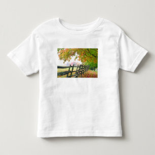 USA, Vermont. Zaun unter Laub. Kleinkind T-shirt