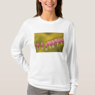 USA, Virginia, Arlington, Nahaufnahme von rosa T-Shirt