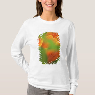 USA, Virginia, Arlington, Orangennähe T-Shirt