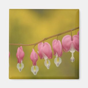 USA, Virginia, Arlington, Verbindungsstelle von Ro Magnet