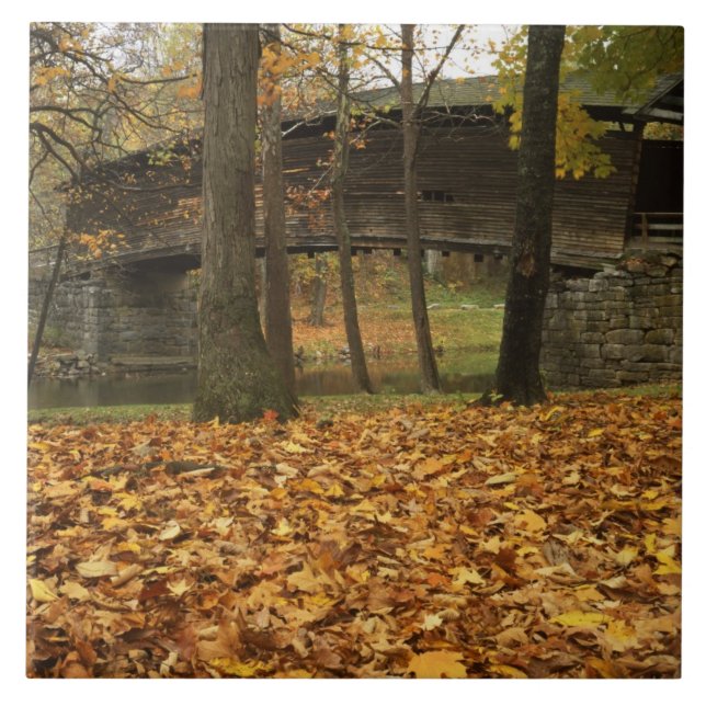 USA, Virginia, Covington, Humpback Covered Fliese (Vorderseite)