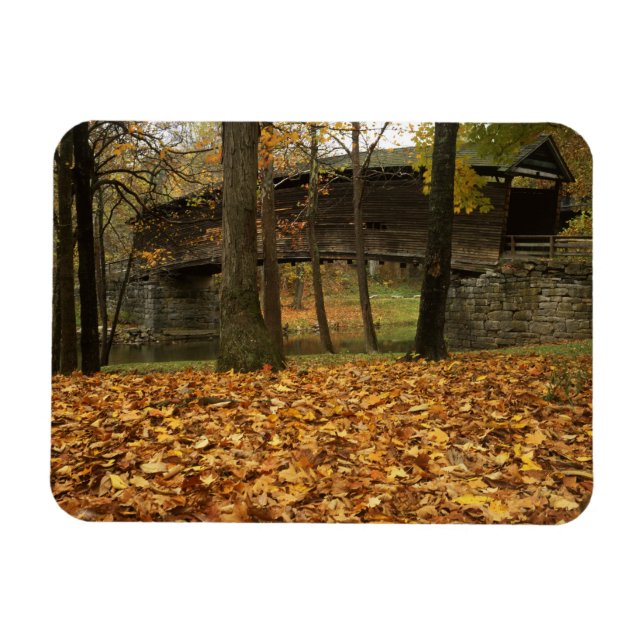 USA, Virginia, Covington, Humpback Covered Magnet (Horizontal)