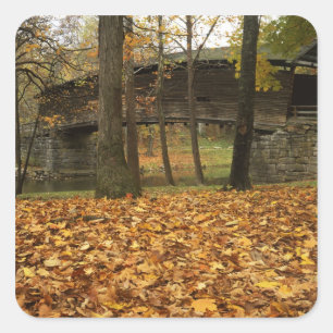 USA, Virginia, Covington, Humpback Covered Quadratischer Aufkleber