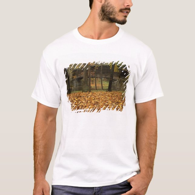 USA, Virginia, Covington, Humpback Covered T-Shirt (Vorderseite)