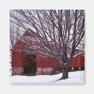 USA, Virginia, Fairfax County, Scheune und Ahorn Magnet