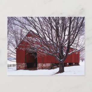 USA, Virginia, Fairfax County, Scheune und Ahorn Postkarte