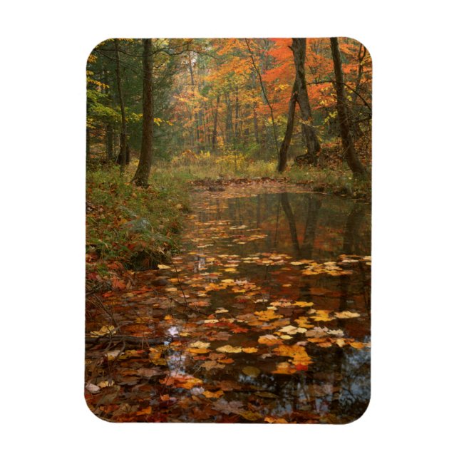 USA, Virginia, Herbst im Douthat Staat Park Magnet (Vertikal)
