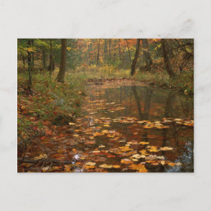 USA, Virginia, Herbst im Douthat Staat Park Postkarte