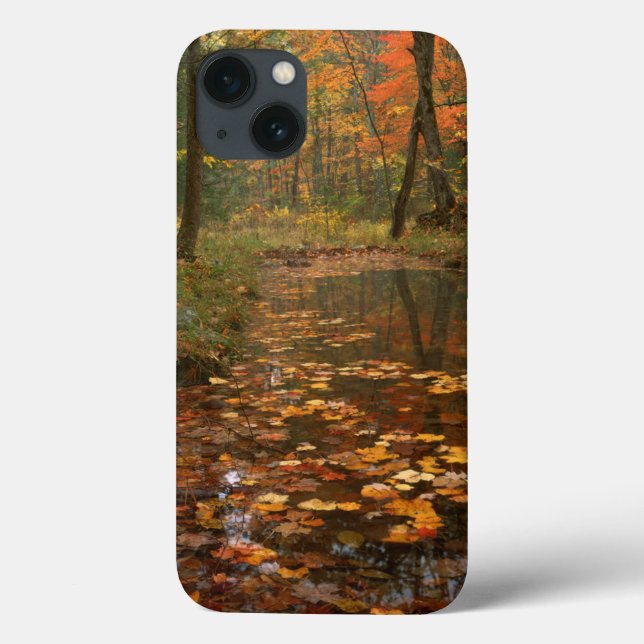 USA, Virginia, Herbst in Douthat Staat Park Case-Mate iPhone Hülle (Rückseite)