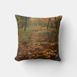 USA, Virginia, Herbst in Douthat Staat Park Kissen