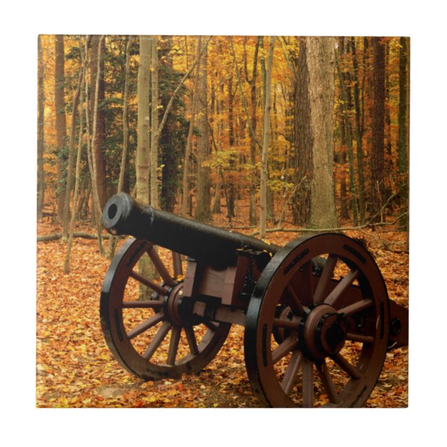 USA, Virginia, Kolonial National Historical Fliese (Vorderseite)