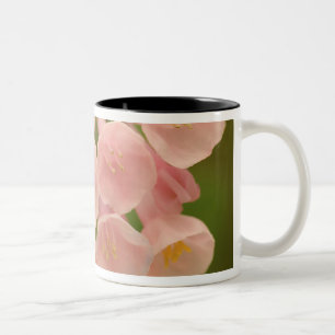 USA, Virginia, Manassas, Manassas National Zweifarbige Tasse