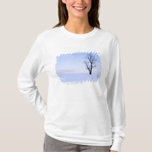 USA, Virginia, Page County, Robinie T-Shirt