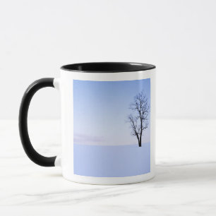 USA, Virginia, Page County, Robinie Tasse