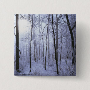 USA, Virginia, Richard Thompson Wildlife Area. Button