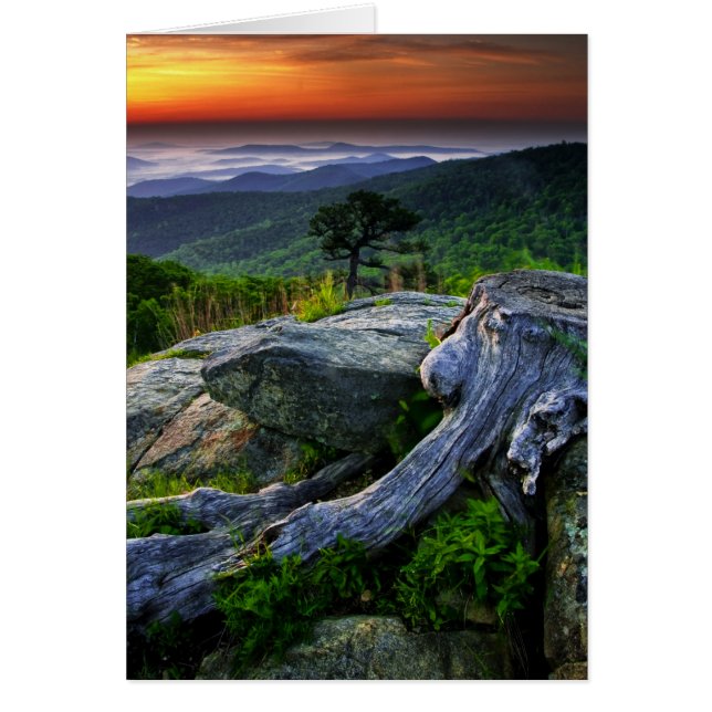 USA, Virginia, Shenandoah National Park. (Vorne)