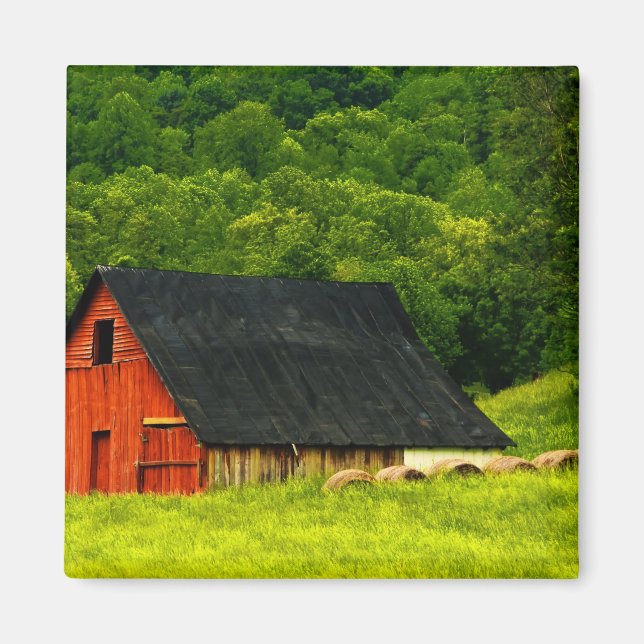 USA, Virginia, Shenandoah National Park, 2 Magnet (Vorne)