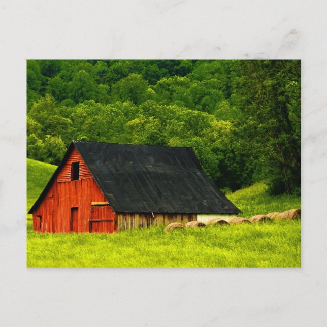 USA, Virginia, Shenandoah National Park, 2 Postkarte (Vorderseite)