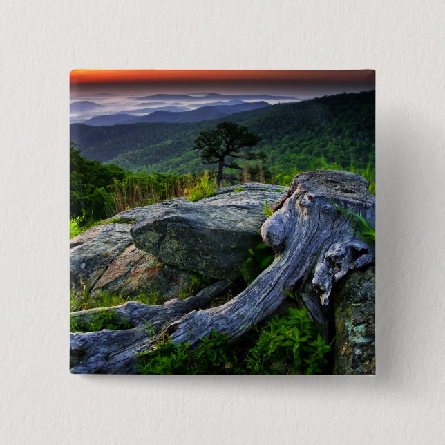 USA, Virginia, Shenandoah National Park. Button (Vorderseite)