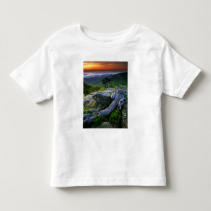 USA, Virginia, Shenandoah National Park. Kleinkind T-shirt