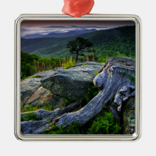 USA, Virginia, Shenandoah National Park. Ornament Aus Metall
