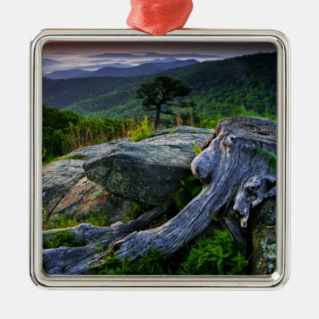 USA, Virginia, Shenandoah National Park. Ornament Aus Metall (Vorne)