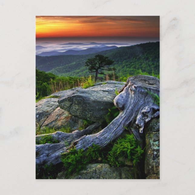 USA, Virginia, Shenandoah National Park. Postkarte (Vorderseite)