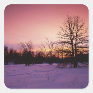 USA, Virginia, Shenandoah National Park, Quadratischer Aufkleber