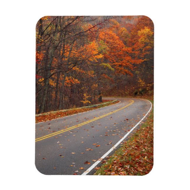 USA, Virginia, Shenandoah National Park, Skyline Magnet (Vertikal)