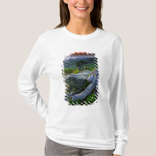 USA, Virginia, Shenandoah National Park. T-Shirt